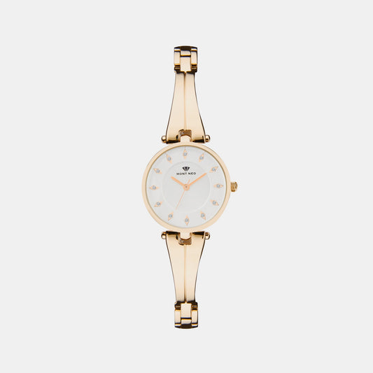 Women's Silver Analog Stainless Steel Watch 2003T-M0203
